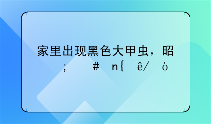 家里出现黑色大甲虫，是怎么回事？