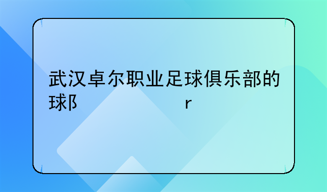 武汉卓尔职业足球俱乐部的球队主场