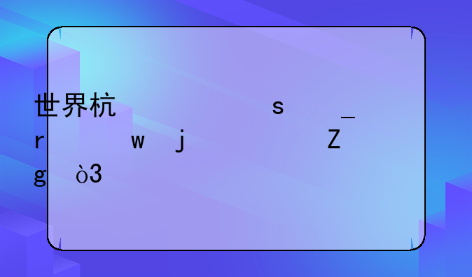 世界杯上“罗本”的资料，越详细越好