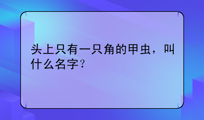 头上只有一只角的甲虫，叫什么名字？