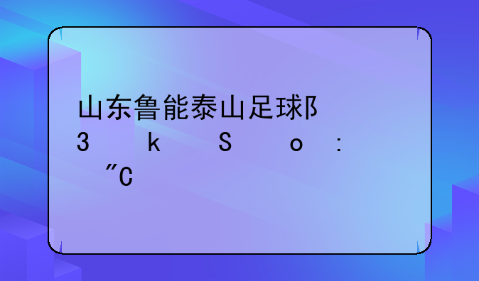 山东鲁能泰山足球队职业联赛历届成绩