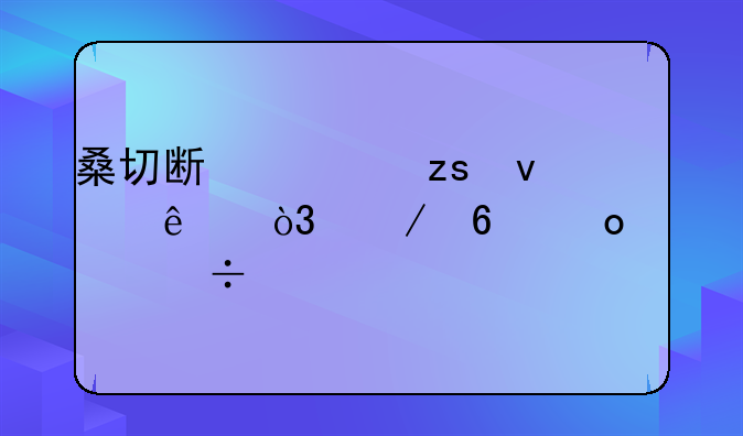 桑切斯如果来了，下半赛季能打欧冠吗