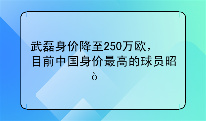 武磊身价降至250万欧，目前中国身价最高的球员是谁？