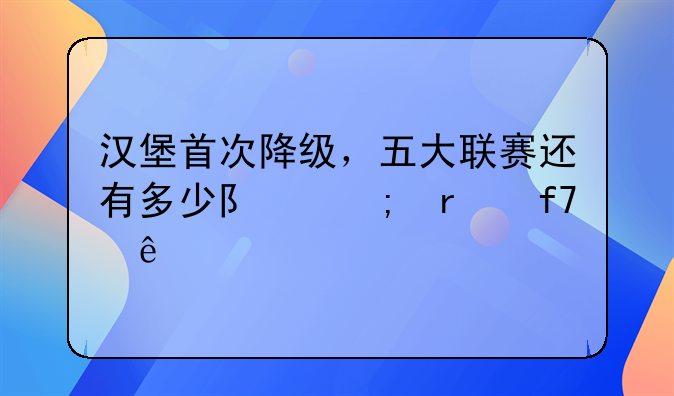 汉堡首次降级，五大联赛还有多少队从未降级