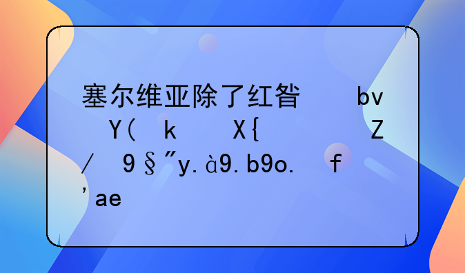 塞尔维亚除了红星队和游击队还有什么强队吗？