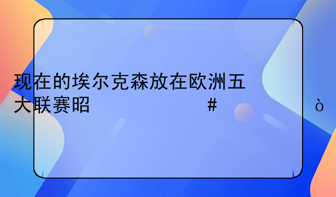 现在的埃尔克森放在欧洲五大联赛是什么水平？