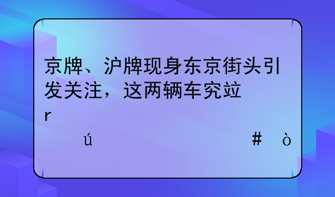 京牌、沪牌现身东京街头引发关注，这两辆车究竟在那边干什么？