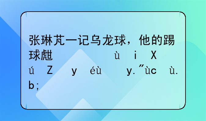 张琳芃一记乌龙球，他的踢球生涯还有可能继续下去么？