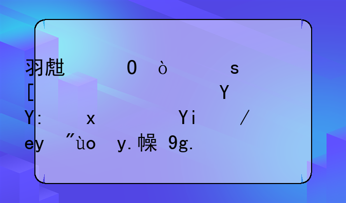羽生结弦东奥首秀失误在哪里？如何看待他本场比赛的表现？