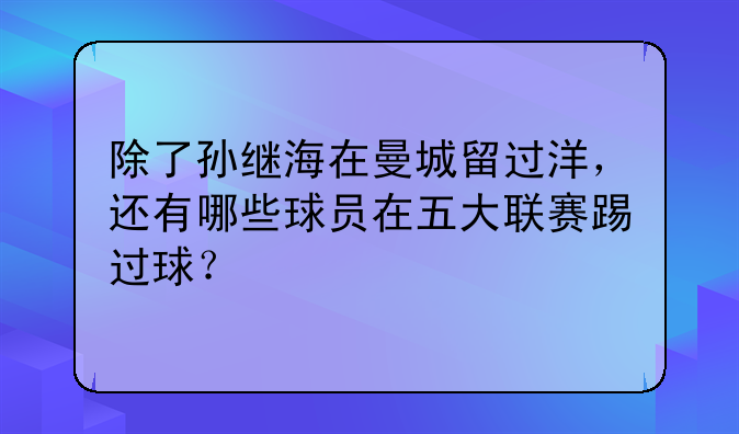 除了孙继海在曼城留过洋，还有哪些球员在五大联赛踢过球？