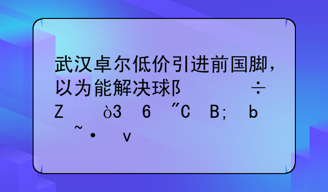 武汉卓尔低价引进前国脚，以为能解决球队顽疾，却成后防短板