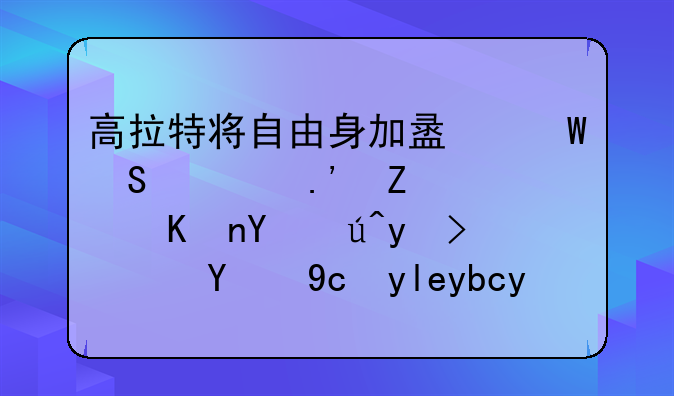 高拉特将自由身加盟帕尔梅拉斯，他在该球队的发展前景如何？