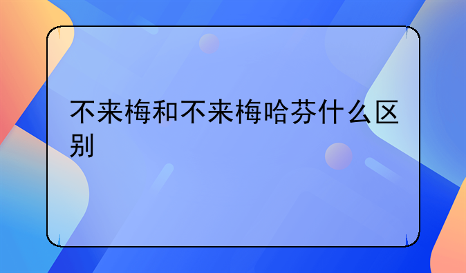 不来梅和不来梅哈芬什么区别